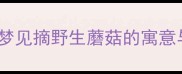 孕期梦境孕妇梦见摘野生蘑菇的寓意与营养补充指南