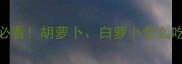 十个月宝宝辅食添加必看胡萝卜白萝卜怎么吃营养师详解宝宝食谱