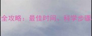 1-6月宝宝辅食添加全攻略最佳时间科学步骤与发育指标对照表