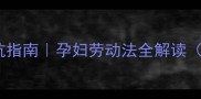 孕期职场避坑指南孕妇劳动法全解读附维权手册