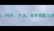 十个月宝宝辅食添加全攻略时间方法营养搭配与常见误区新手爸妈必读