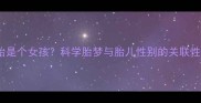 孕妇梦见打胎是个女孩科学胎梦与胎儿性别的关联性及胎教指南