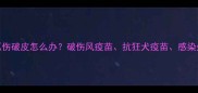 宝宝被猫抓伤破皮怎么办破伤风疫苗抗狂犬疫苗感染处理全攻略