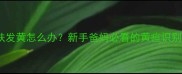10个月宝宝皮肤发黄怎么办新手爸妈必看的黄疸识别与护理全攻略