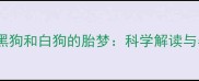 孕妇梦见黑狗和白狗的胎梦科学解读与孕育建议
