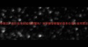 孕期及产后阶段孕妇能吃螃蟹吗科学解答螃蟹的营养价值与食用禁忌