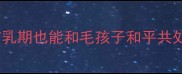 孕期养狗全攻略哺乳期也能和毛孩子和平共处附养狗避坑清单