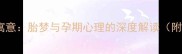 孕妇梦到白猫的寓意胎梦与孕期心理的深度解读附科学胎教指南
