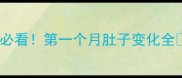 早孕必看第一个月肚子变化全