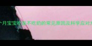 八个月宝宝吃饭不吃奶的常见原因及科学应对方案