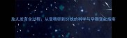 胎儿发育全过程从受精卵到分娩的科学与孕期变化指南