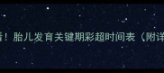 孕期必看胎儿发育关键期彩超时间表附详细指南