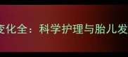 孕期乳房变化全科学护理与胎儿发育的关联
