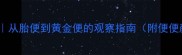 新生儿便便全从胎便到黄金便的观察指南附便便颜色对照表