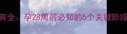 胎儿听觉系统发育全孕28周前必知的5个关键阶段与科学干预指南
