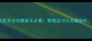 两岁四个月宝宝发育全攻略家长必看掌握这10大关键指标科学养育不焦虑
