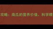 六个月宝宝辅食添加全攻略南瓜的营养价值科学喂养指南与5种创意食谱