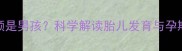 怀孕5个月尿频是男孩科学解读胎儿发育与孕期症状全指南