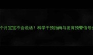 17个月宝宝不会说话科学干预指南与发育预警信号全