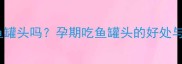 孕妇能吃鱼罐头吗孕期吃鱼罐头的好处与禁忌全