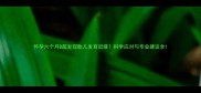 怀孕六个月B超发现胎儿发育迟缓科学应对与专业建议全