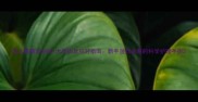 婴儿眼睛流泪的7大原因及应对指南新手爸妈必看的科学护理手册