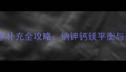 孕妇电解质科学补充全攻略钠钾钙镁平衡与孕期健康指南