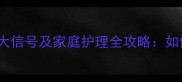 0-3岁宝宝听力异常5大信号及家庭护理全攻略如何科学应对早期干预
