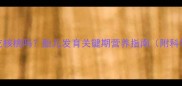 怀孕1个月能吃核桃吗胎儿发育关键期营养指南附科学食用建议