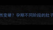 怀孕肚子什么时候会突然变硬孕期不同阶段的肚子变化全附孕育指南