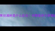 孕妇梦见芒果挂满树是什么征兆孕期营养与梦境的奇妙关联
