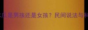 孕妇梦见木瓜是男孩还是女孩民间说法与科学全指南