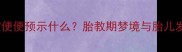 孕妇梦见宝宝便便预示什么胎教期梦境与胎儿发育的5大关联