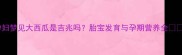 孕妇梦见大西瓜是吉兆吗胎宝发育与孕期营养全