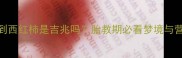 孕妇梦到西红柿是吉兆吗胎教期必看梦境与营养指南