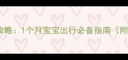 新生儿安全座椅选购全攻略1个月宝宝出行必备指南附安装要点与使用误区