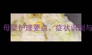 新生儿低丙种球蛋白血症全攻略母婴护理要点症状识别与科学干预指南附治疗流程图
