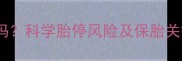 怀孕四个月胎停几率大吗科学胎停风险及保胎关键措施附详细指南