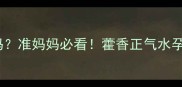 藿香正气水孕妇外用安全吗准妈妈必看藿香正气水孕妇能用吗外用注意事项全