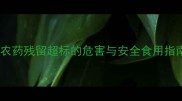 孕妇吃蔬菜必看农药残留超标的危害与安全食用指南附检测方法