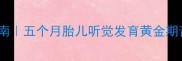 科学胎教音乐指南五个月胎儿听觉发育黄金期音乐选择全攻略