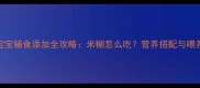4个月宝宝辅食添加全攻略米糊怎么吃营养搭配与喂养指南