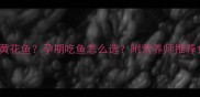 鲈鱼vs黄花鱼孕期吃鱼怎么选附营养师推荐食谱