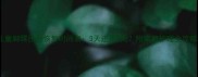 儿童脚踝扭伤恢复时间表3天还是3周附家庭护理全攻略