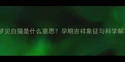 孕妇梦见白猫是什么意思孕期吉祥象征与科学解读全