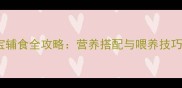 13个月宝宝辅食全攻略营养搭配与喂养技巧大公开