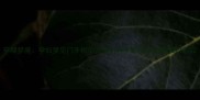 孕期梦境孕妇梦见门牙松动背后的科学解读与健康管理指南