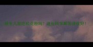 新生儿能吃松花粉吗这份科学解答请收好