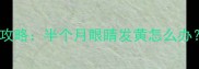 新生儿黄疸护理全攻略半个月眼睛发黄怎么办新手妈妈必看