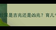 宝宝健康必看梦见孩子拉屎是吉兆还是凶兆育儿专家深度及科学应对指南